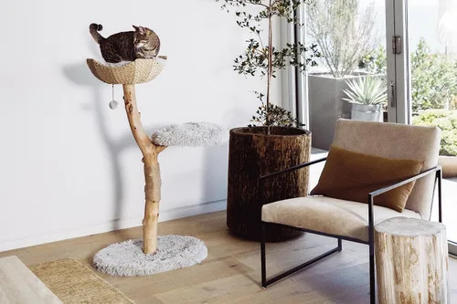 Miniatura 2 de Torre de Árbol de Gato de Madera, Condominio de Gato de Rama Única Moderna, Árbol de Gato de Madera, Escalada para Gatos, Muebles para Gatos, Regalo