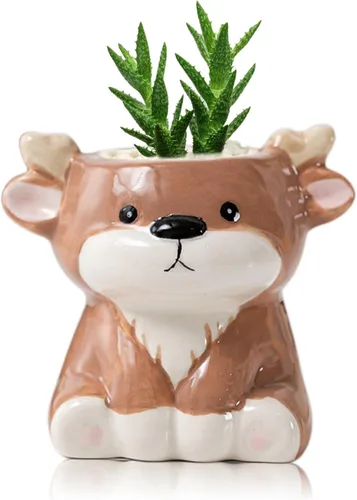 Miniatura 17 de DIYOMR Bonita maceta de animales, mini maceta de cerámica con forma de animal de dibujos animados para suculentas, soporte para plantas de aire