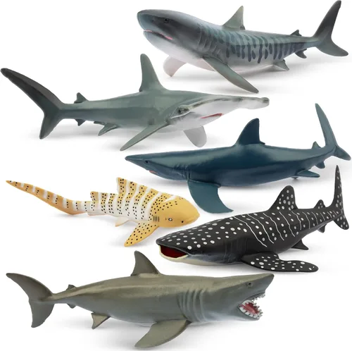 Toymany 6 figuras realistas de juguete de baño de tiburón de 5 a 6 pulgadas de largo, juego de figuras de plástico de animales marinos del océano