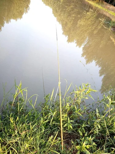 Miniatura 4 de XMHF Caña de pescar que viaja 6 secciones telescópica poste retráctil pesca caña caña 1.7M longitud