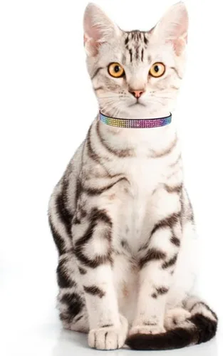 Miniatura 7 de THAIN Bling cat Collar de gatito Rainbow Rhinestone Breakaway Diamond con campana Terciopelo suave liberación rápida (negro)