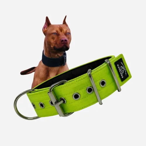 Miniatura 10 de SparkDog - Collar acolchado para perro, 2 pulgadas de ancho, nailon de 4 capas, correas para cinturón de seguridad, accesorios de acero inoxidable
