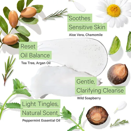 Miniatura 3 de Tree To Tub Champú y acondicionador sin sulfato para cabello graso, encrespamiento, cuero cabelludo sensible, champú y acondicionador hidratante