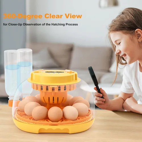 Miniatura 7 de Incubadora de huevos para incubar pollitos, volteador automático de huevos con capacidad para 12 huevos, incubadora inteligente con ventana