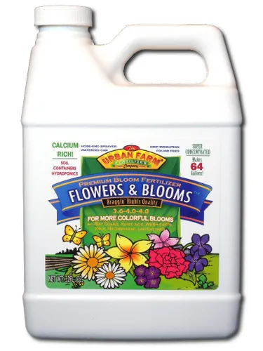 Flores y flores, 1 cuarto de galón