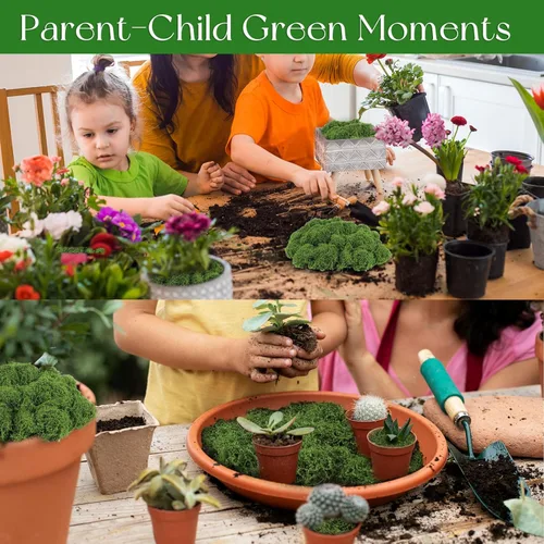 Miniatura 6 de Musgo artificial artificial de 5.3 onzas para manualidades, musgo decorativo preservado para plantas, jardín de hadas, bricolaje, paredes Verde