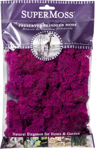 Super Moss (23164) Musgo de reno preservado, fucsia, 2 onzas