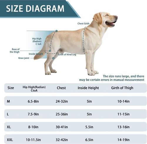 Miniatura 2 de Soporte de cadera para perro para displasia de cadera, soporte de cadera ajustable para perro con correa de elevación, alivio del dolor cálido