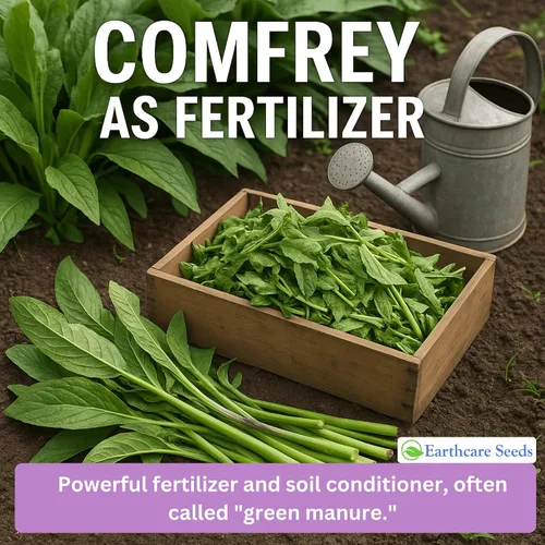 Miniatura 7 de True Comfrey 50 Semillas (Symphytum officinale) Sin OGM, Herencia