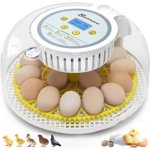 Miniatura 10 de Incubadora para incubar huevos, capacidad de 12 huevos, humidificación automática recién actualizada 2026, control de temperatura y humedad, Amarillo