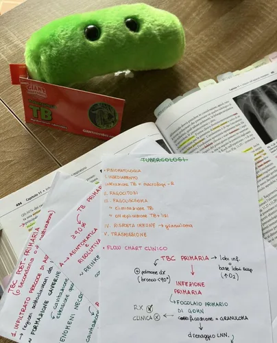 Miniatura 6 de GIANT MICROBES Peluche de tuberculosis, regalo de microbiología, regalos médicos divertidos, regalos médicos, felpa de bacterias, juguete de peluche