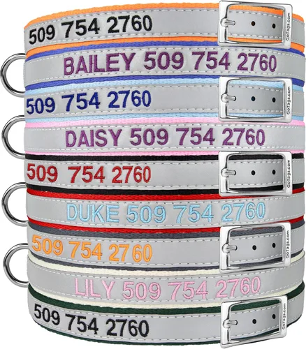 GoTags Collares reflectantes bordados para perros con hebilla de metal, collar personalizado para perro bordado con nombre de mascota y número de