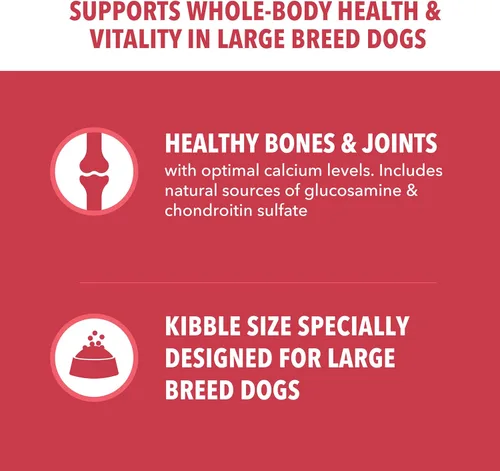 Miniatura 4 de IAMS Proactive Health - Alimento seco para perros adultos de raza grande, receta de cordero y arroz, bolsa de 40 libras