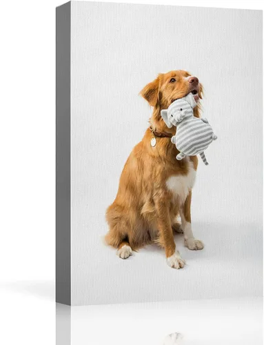 Miniatura 11 de NWT - Fotografía personalizada sobre lienzo con diseño de mascota y animal
