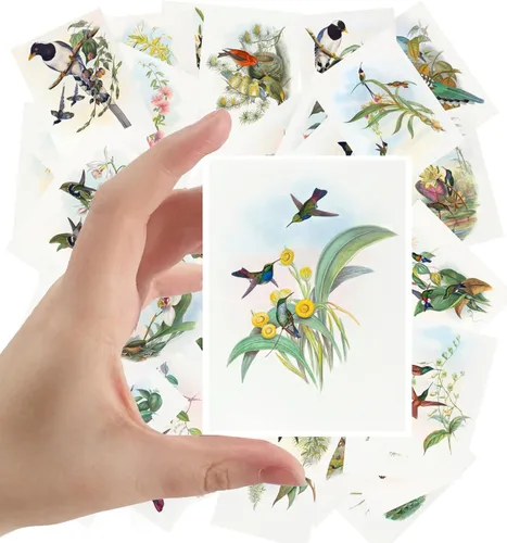 Miniatura 3 de Calcomanías grandes, 24 piezas (2.5 x 3.5 pulgadas cada una) pájaros, mariposas y flores, libro botánico antiguo, ilustración, postales vintage, Ocho