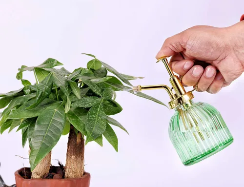 Miniatura 5 de Botella pulverizadora de vidrio para plantas, botella de rociador de agua de vidrio verde de 6.5 pulgadas con bomba superior dorada, regadera
