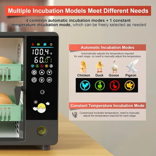 Miniatura 3 de Incubadoras Chalixion para incubar 24 huevos, incubadora de huevos con volteador automático de huevos, humidificador ultrasónico atomizado