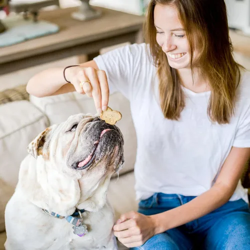 Miniatura 5 de Cloud Star Wag More Bark Less Crunchy - Golosinas para perros sin granos, sabores surtidos, caja de 14 onzas