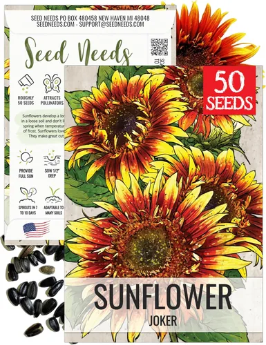 Miniatura 50 de Seed Needs Semillas de girasol para plantar girasoles de manchas solares enanas, semillas de flores de corte anual de polinización abierta