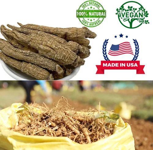 Miniatura 4 de Raíz de ginseng cultivada de Wisconsin Americana Seleccionada a mano de 4 onzas = 113 gm/caja Rama grande larga y grande Caja cultivada