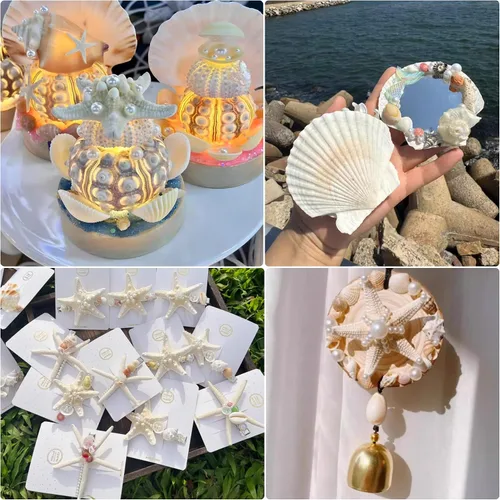 Miniatura 5 de JSPYFITS Estrellas de mar grandes de 2.5 a 4 pulgadas y conchas de vieira para manualidades, 12 unidades, conchas naturales de mar de playa