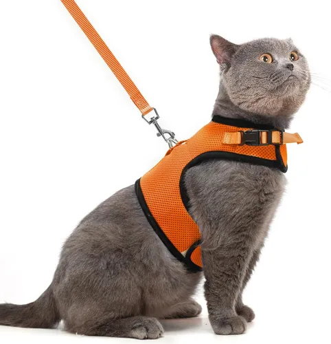 Miniatura 24 de PUPTECK Juego de arnés y correa de malla suave para gatos, arnés acolchado para mascotas, a prueba de escape, para gatos, perros pequeños, conejos