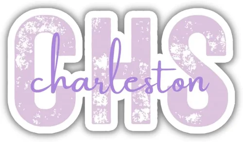 Miniatura 6 de CHS Charleston - Adhesivo de viaje con código del aeropuerto de Carolina del Sur, varios colores, cuaderno planificador de botellas de agua