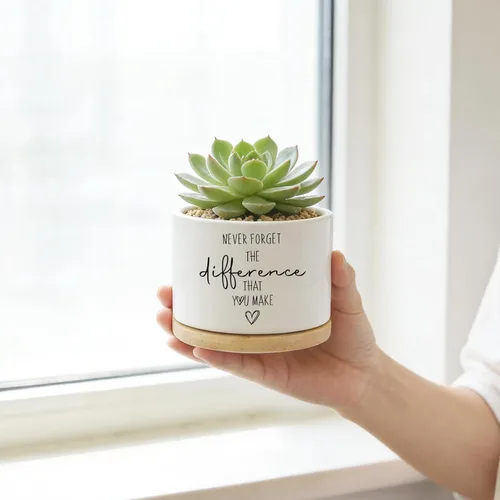 Miniatura 3 de DOFAFALA Maceta Graciosa para Suculentas, Maceta para Cactus, Regalos de Flores, Regalos Inspiradores de Apreciación para Amantes de Plantas, Nunca