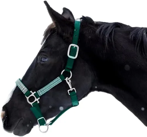 Miniatura 12 de Kensington Premium Cabestro Separable con Nariz Acolchada — Medidas de Seguridad Separables Añadidas — Hebilla en la Garganta para un Ajuste