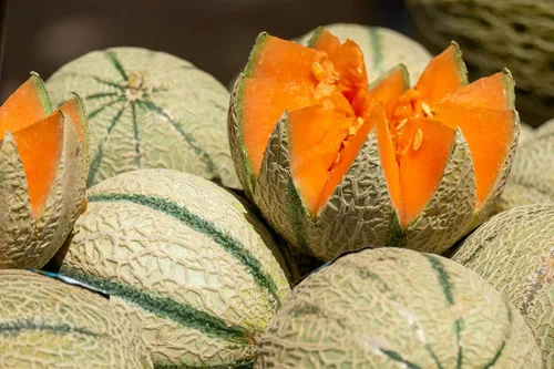 Liliana's Garden - Semillas de melón tradicional "Charentais" – Melón tradicional francés raro – Cosecha melones miniatura en 90 días | Siempre de