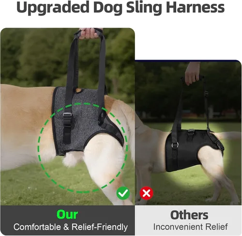 Miniatura 3 de Arnés acolchado suave ajustable para patas traseras para perros grandes, para patas traseras débiles, lesionadas o discapacitadas, ayuda a apoyar a