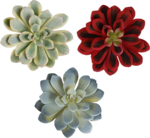COTSEN 3 suculentas artificiales de 5.9 pulgadas, sin maceta, surtidas, suculentas falsas para decoración de oficina, familia, jardín