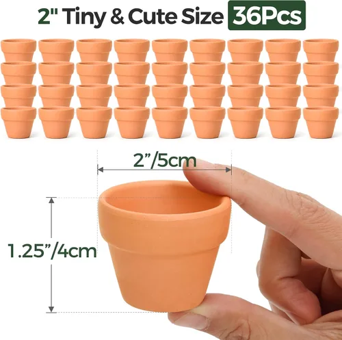 Miniatura 3 de T4U Mini macetas de terracota (36 piezas): macetas pequeñas de arcilla de 2 pulgadas con orificios de drenaje, ideales para plantas de cactus