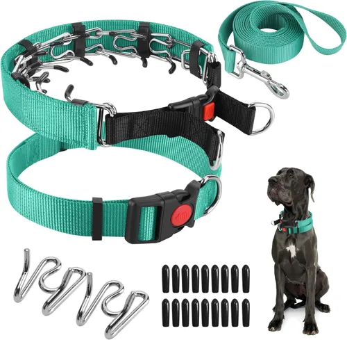 Miniatura 26 de Collar de entrenamiento de puntas con puntas cómodas y hebilla de cierre rápido – Collar de pellizco para perro con cubierta de nailon