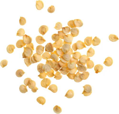 Miniatura 6 de Seed Needs Semillas de pimiento picante para plantar chiles serranos, semillas de vegetales sin OMG y sin tratar para plantar un jardín vegetal