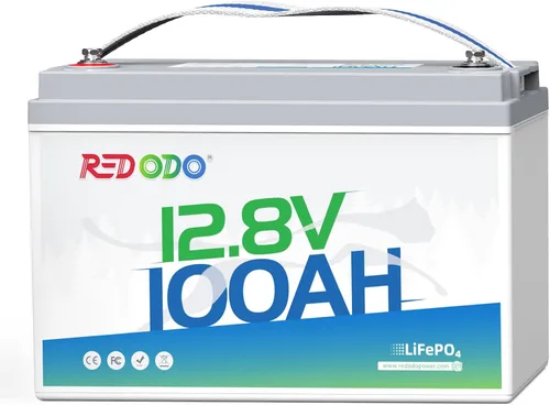 Redodo Batería LiFePO4 de litio de 12 V 100 Ah, batería del grupo 31 integrada en BMS de 100 A, hasta 15000 ciclos, 10 años de vida útil, perfecta