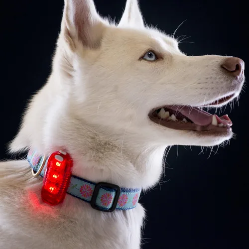 Miniatura 5 de Paquete de 2: luces LED de seguridad + chalecos reflectantes