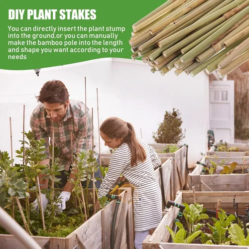 Miniatura 7 de Suclain Juego de 30 estacas de bambú para plantas trepadoras, estacas de bambú resistentes para tomates, frijoles, flores y plantas en maceta
