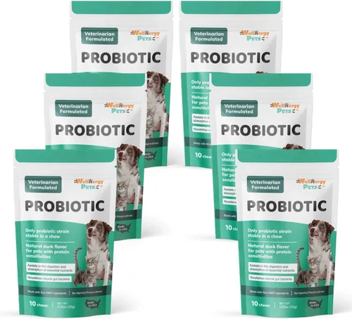 Wellnergy - Probióticos diarios y prebióticos masticables suaves para perros y gatos, apoyo digestivo para diarrea, estreñimiento, malestar