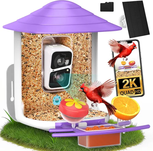 Miniatura 14 de birdsnap® TUC - Comedero para pájaros con cámara 2K HD en vivo con tarjeta de 32 GB, detección y notificación automática de inteligencia artificial