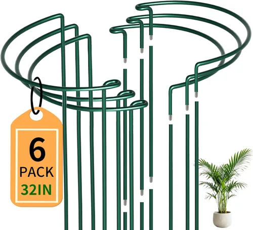Miniatura 14 de TCBWFY Paquete de 10 estacas de soporte para plantas de peonía, 10 pulgadas de ancho x 16 pulgadas de alto, jaulas de peonía de alta resistencia