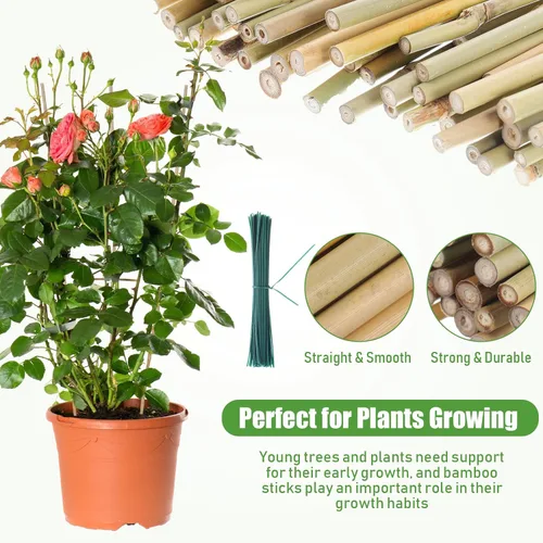Miniatura 3 de Suclain Juego de 30 estacas de bambú para plantas trepadoras, estacas de bambú resistentes para tomates, frijoles, flores y plantas en maceta