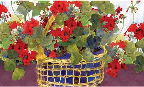 Tapete decorativo para puerta de entrada interior, cesta de geranio, tapete decorativo floral colorido con flores rojas, divertido tapete para