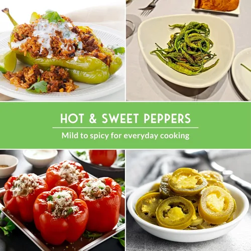 Miniatura 5 de 4 Colección de semillas de pimiento Jalapeño, Serrano, Cubanelle y California Wonder Semillas de pimientos picantes y dulces autóctonas sin