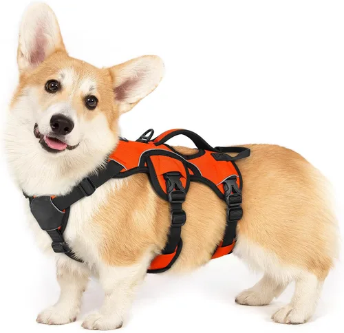 Miniatura 23 de rabbitgoo - Arnés para perro a prueba de fugas, arnés para mascotas acolchado suave de cuerpo completo, chaleco reflectante ajustable sin tirones