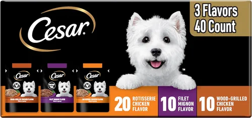 Cesar Filets en Salsa Comida Húmeda para Perros Sabor Pollo Asado, Sabor Filete Mignon y Pollo a la Parrilla Variedades, Comida Húmeda para Perros,