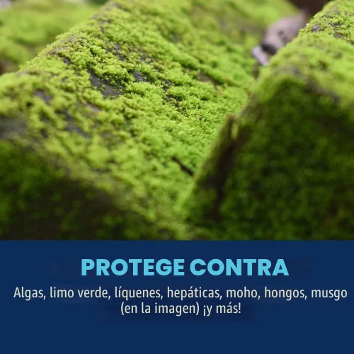 Miniatura 2 de BioAdvanced 2-en-1 asesino de musgo y algas para céspedes, techos, patios, cubiertas, asesino de musgo para techos, limpiador de cubiertas