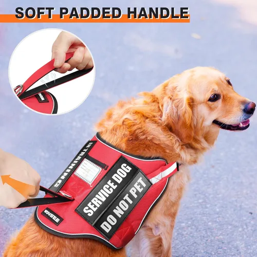 Miniatura 3 de Juego de Arnés y Correa para Perro de Servicio, Chaleco de Entrenamiento para Perro con 10 Parches para Perros, Chaleco de Arnés para Perro de Apoyo