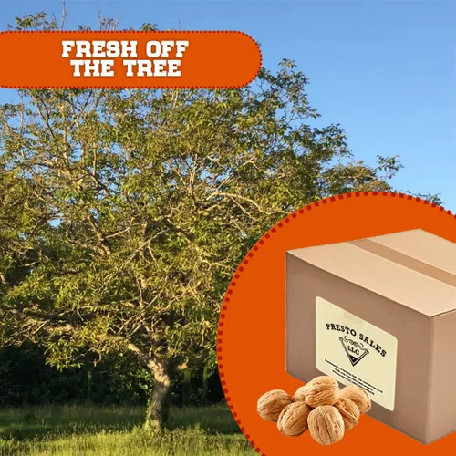 Miniatura 5 de Presto Sales Nueces Current New Crop enorme en cáscara de 10 libras, cultivado en California, aperitivo natural saludable para toda la familia, bajo