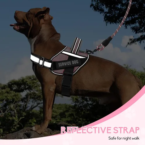 Miniatura 5 de Juego de Arnés, Chaleco y Correa para Perro de Servicio, Arnés para Perro en Entrenamiento de Animire con 10 Parches para Perros, Correa Reflectante